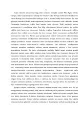 Valstybės atsiradimo priežastys 8 puslapis