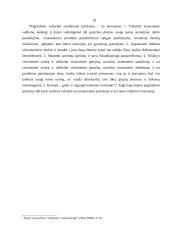 Valstybės atsiradimo priežastys 10 puslapis