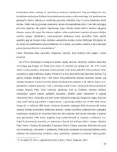 Bendrosios teisės tradicijų svarbiausi požymiai  17 puslapis