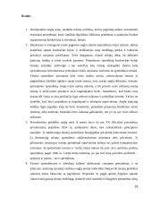 Bendrosios teisės tradicijų svarbiausi požymiai  19 puslapis