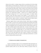 Bendrosios teisės tradicijų svarbiausi požymiai  4 puslapis