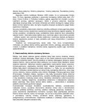 Pagrindinės teisės sutemos 4 puslapis