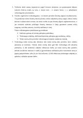 Teisės norma kaip teisinio reguliavimo instrumentas 13 puslapis