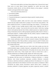 Teisės norma kaip teisinio reguliavimo instrumentas 4 puslapis