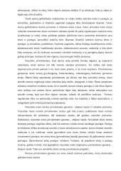 Teisės norma kaip teisinio reguliavimo instrumentas 5 puslapis