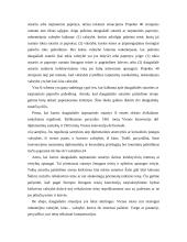Atsakomybės samprata tarptautinėje teisėje  17 puslapis