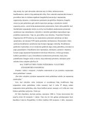 Atsakomybės samprata tarptautinėje teisėje  19 puslapis