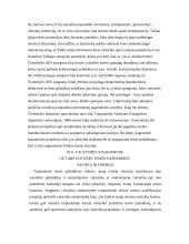 Atsakomybės samprata tarptautinėje teisėje  6 puslapis