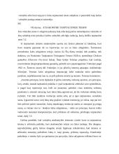 Atsakomybės samprata tarptautinėje teisėje  7 puslapis