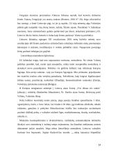 Globalizacija be pagražinimo 14 puslapis