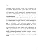 Globalizacijos iššukių įveikimas Lietuvoje 2 puslapis