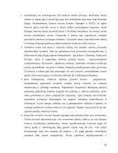 Globalizacijos iššukių įveikimas Lietuvoje 13 puslapis