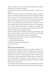 Tarptautinių saugumo organizacijų struktūra 12 puslapis