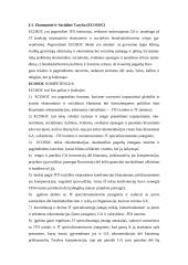 Tarptautinių saugumo organizacijų struktūra 3 puslapis