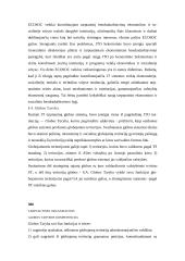 Tarptautinių saugumo organizacijų struktūra 7 puslapis