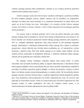 Pabėgėlių teisų gynimo darbas 17 puslapis