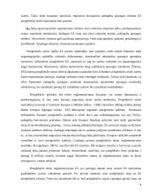 Pabėgėlių teisų gynimo darbas 4 puslapis