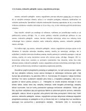 Pabėgėlių teisų gynimo darbas 7 puslapis