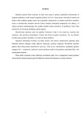 Masažo priemonė – masažinis takelis 3 puslapis