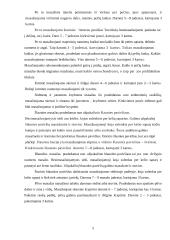 Masažo priemonė – masažinis takelis 5 puslapis