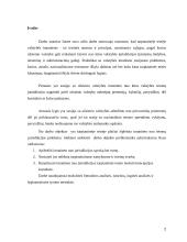 Valstybės imunitetas nuo jurisdikcijos 2 puslapis