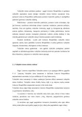 Valstybės sienų apsauga 5 puslapis