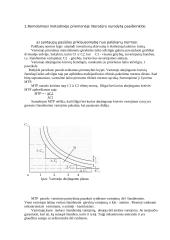 Mikroekonomikos paprastos temos 3 puslapis