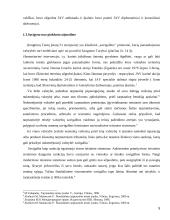 Atsakomosios priemonės, valstybių atsakomybė 5 puslapis