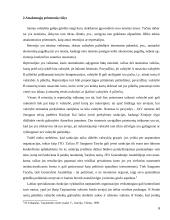 Atsakomosios priemonės, valstybių atsakomybė 6 puslapis