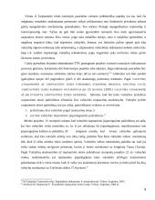 Atsakomosios priemonės, valstybių atsakomybė 9 puslapis