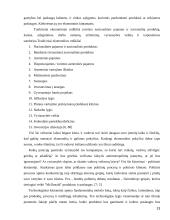 Įmonės verslo aplinkos įtaka formuojant įmonės strategiją 13 puslapis