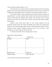 Įmonės verslo aplinkos įtaka formuojant įmonės strategiją 10 puslapis