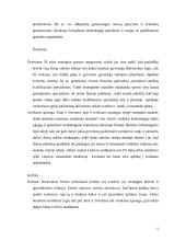 UAB "Arginta" įmonės veiklos analizė 11 puslapis