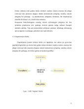 UAB "Arginta" įmonės veiklos analizė 13 puslapis