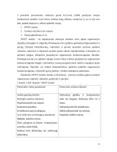 UAB "Arginta" įmonės veiklos analizė 19 puslapis