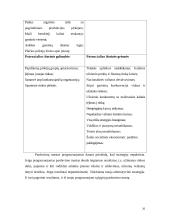 UAB "Arginta" įmonės veiklos analizė 20 puslapis