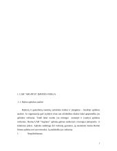 UAB "Arginta" įmonės veiklos analizė 3 puslapis