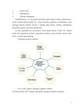 UAB "Arginta" įmonės veiklos analizė 4 puslapis