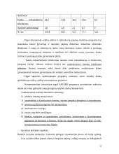 UAB "Arginta" įmonės veiklos analizė 10 puslapis