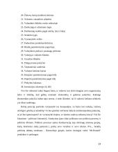 UAB “Arginta” strateginė analizė ir valdymas 13 puslapis