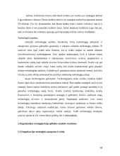 UAB “Arginta” strateginė analizė ir valdymas 18 puslapis