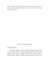 "N" įmonės vystymosi strategija 2 puslapis