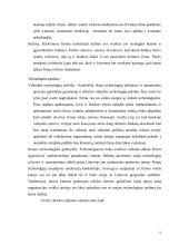 "N" įmonės vystymosi strategija 11 puslapis