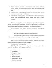 "N" įmonės vystymosi strategija 12 puslapis