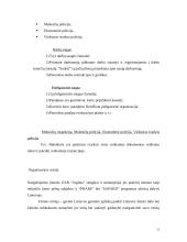 "N" įmonės vystymosi strategija 13 puslapis