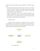 "N" įmonės vystymosi strategija 14 puslapis