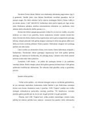 "N" įmonės vystymosi strategija 15 puslapis