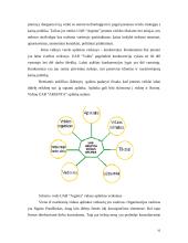 "N" įmonės vystymosi strategija 16 puslapis