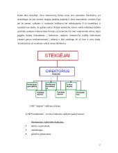 "N" įmonės vystymosi strategija 17 puslapis