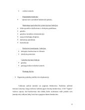 "N" įmonės vystymosi strategija 18 puslapis